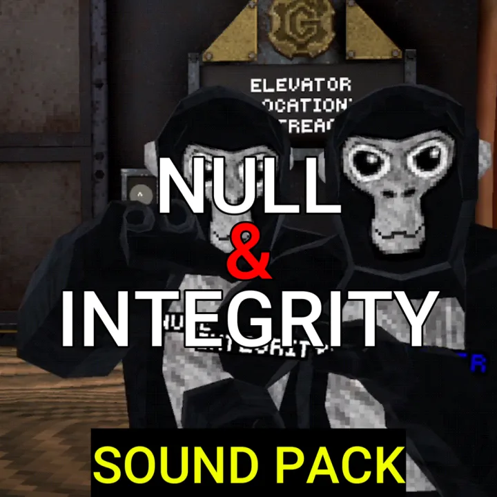 Null & Integrity artwork